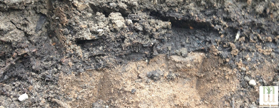 Layers of soil