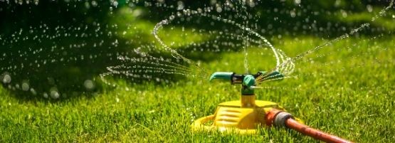 Lawn_Watering_Tips_Sprinkler_Thumbnail_555x201-min.jpg