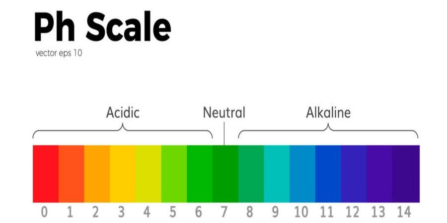 PhScale900x450-min.png