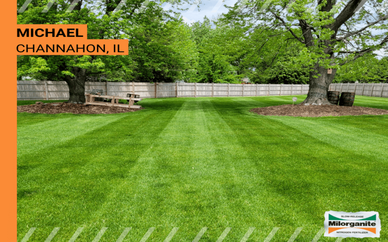 Green yard Green and healthy lawn in Alabama fertilized with Milorganite fertilizer.