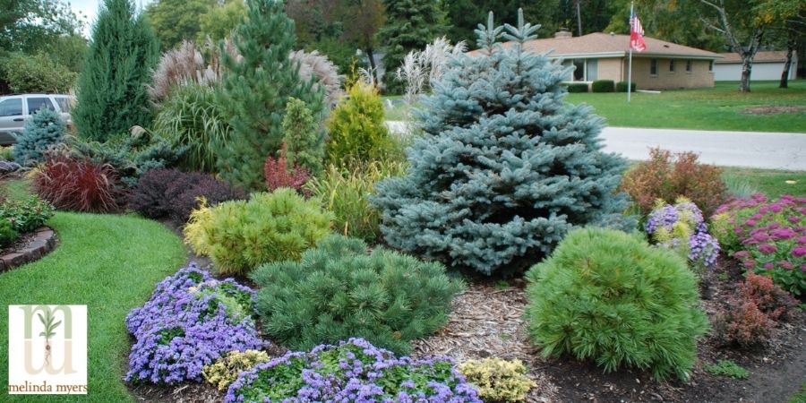 fall tree and shrub garden