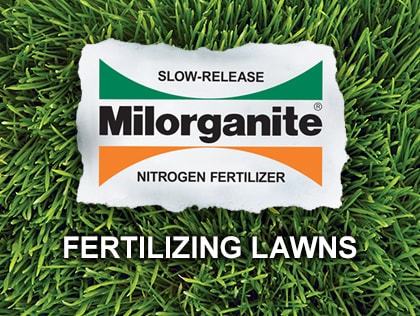 Lawn Fertilizer Chart