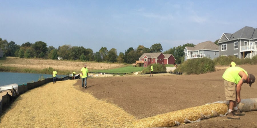 Applying hay mats to newly seeded lawn