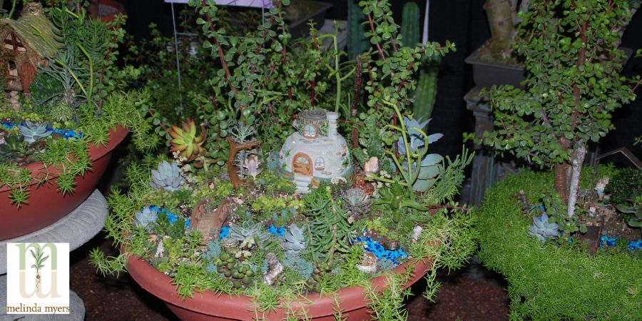 fairy garden