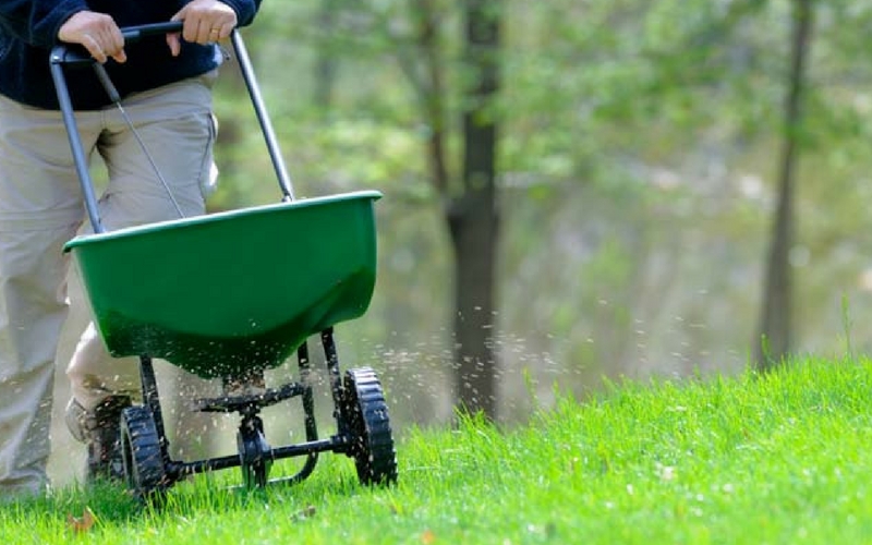 grass seed spreader