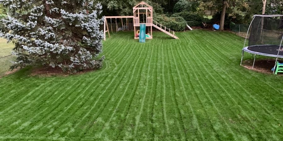 green grass with play set and trampoline 