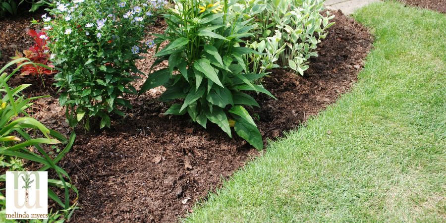 mulch around flower bed