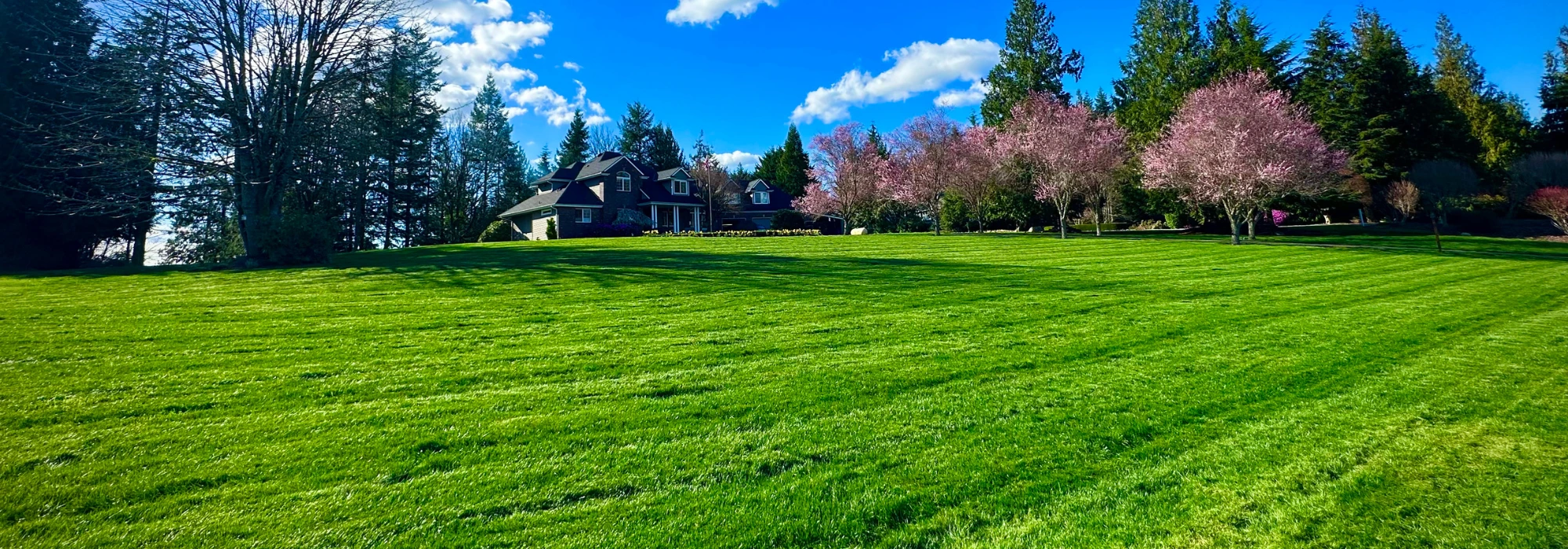 Joshua - Snohomish, WA