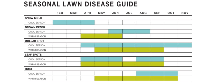 Turf Disease Chart