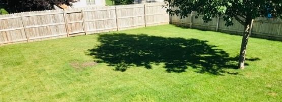 Robert_Spring_Lawn_Beginner_thumbnail_555x201-min.jpg