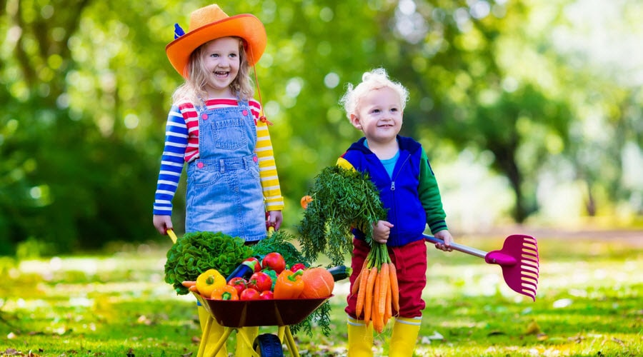 Children in the yard picking vegetables from the garden 