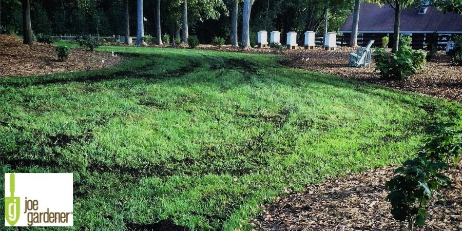 Image of Gardener spreading compost on lawn