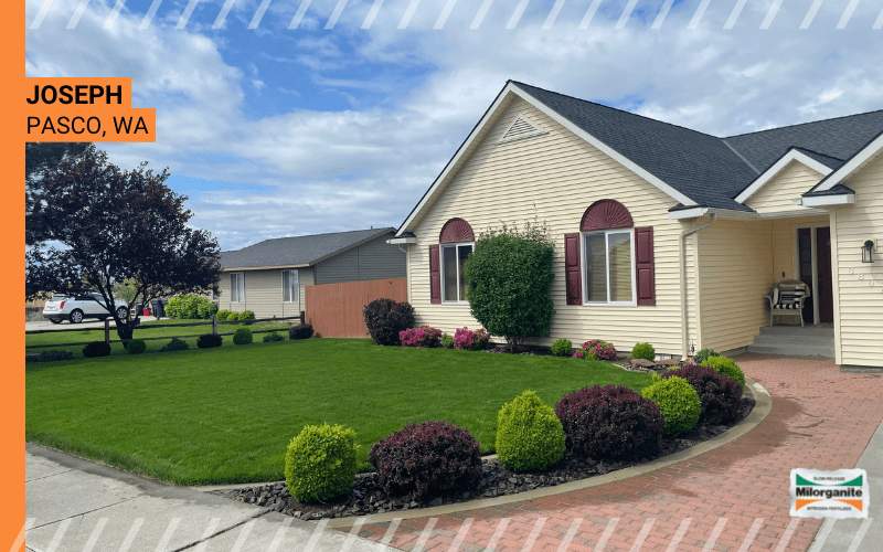 Healthy green lawn in WA that is fertilized with Milorganite.