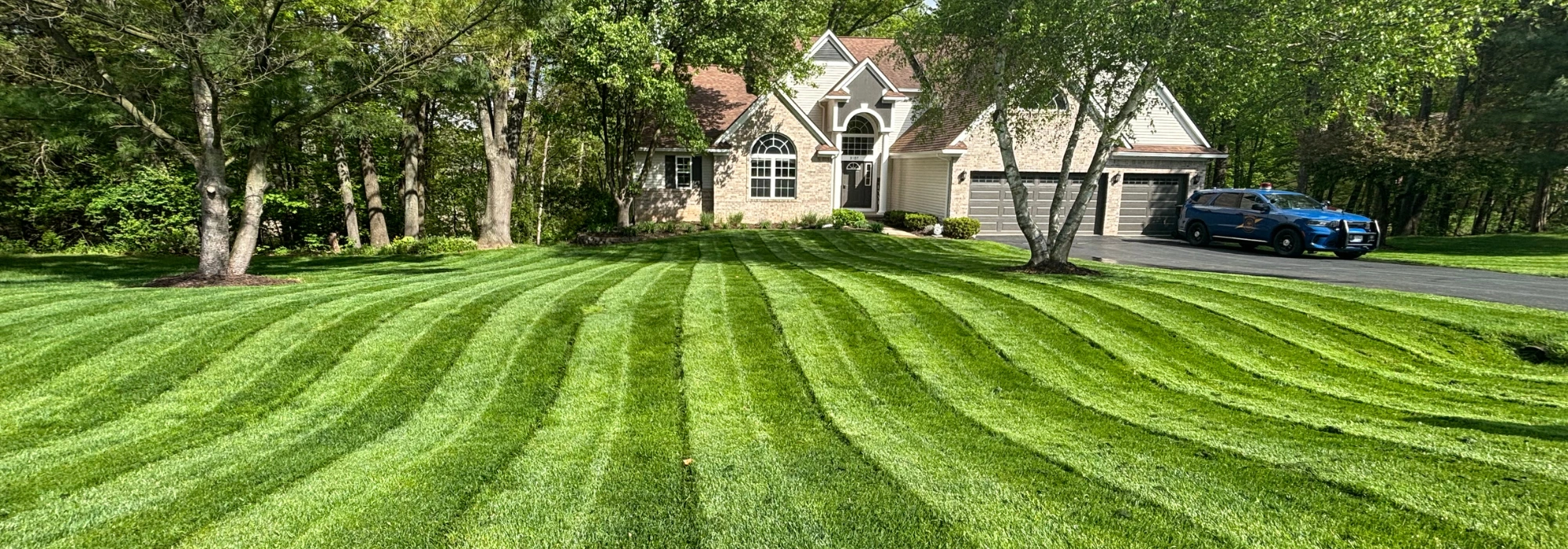 Jesse - Pinckney - MI green lawn