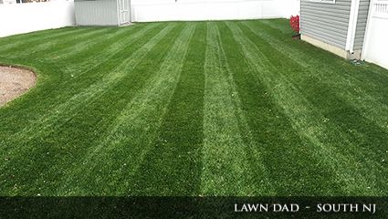 Milorganite lawn and garden testimonials