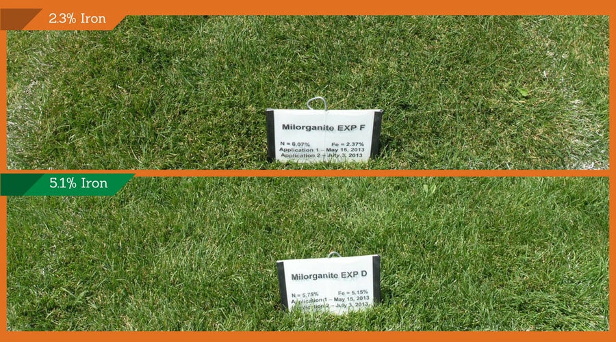 Milorganite Iron Research Test Plots