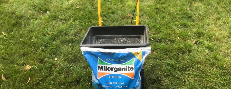 Bag of Milorganite and a spreader in the lawn.