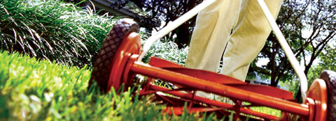 Lawn mower on green grass. Spring lawn care tips will help you get a green and healthy lawn.