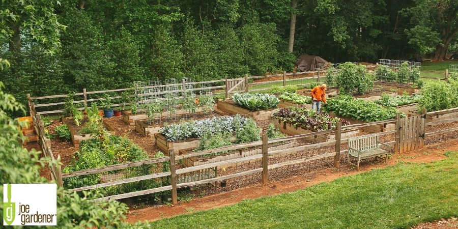 drone shot of raised bed garden