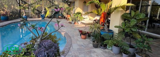 LCN_planter_tipsmy_lanai_in_morning_light.jpg__555_x_201_px-min.jpg