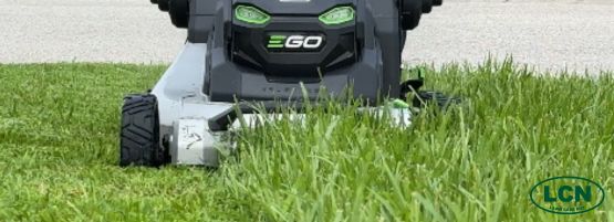 LCN_mow_overgrown_lawn_thumbnail_555x201_1-min.jpg