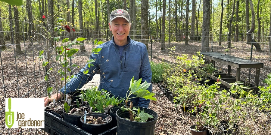 jg holding plants 900 x 450 px).webp