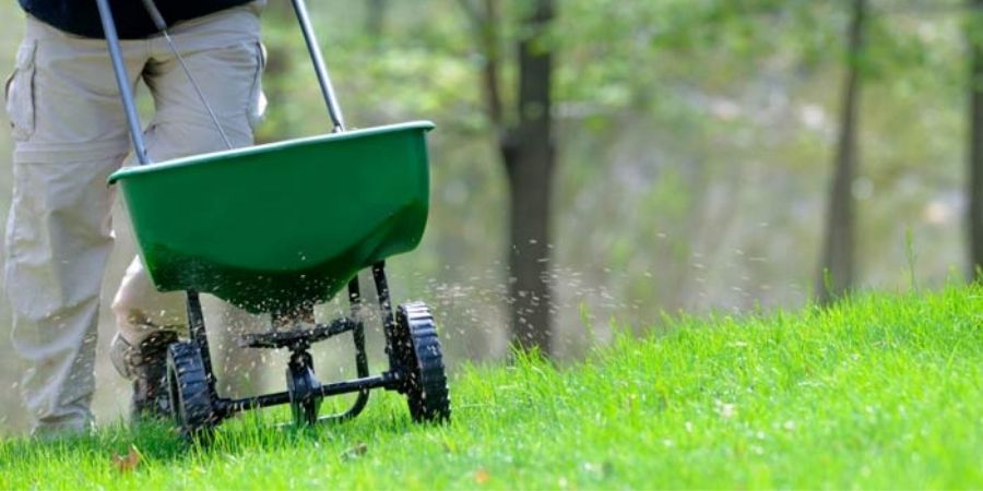 green broadcast spreader spreading grass seed on lawn