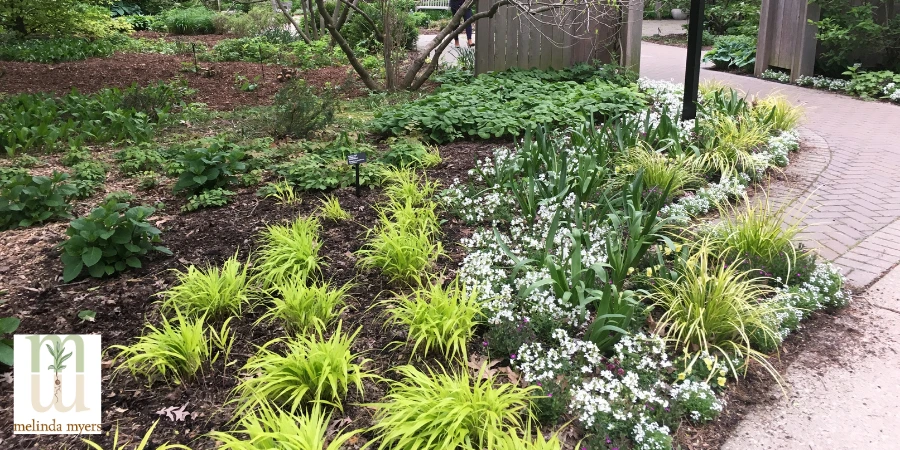 MM climate change cover soil mulch and plants 900x450.webp