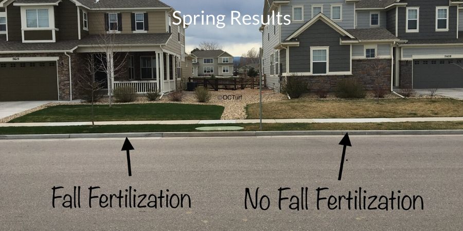 Comparison of two lawns with fall fertilization 