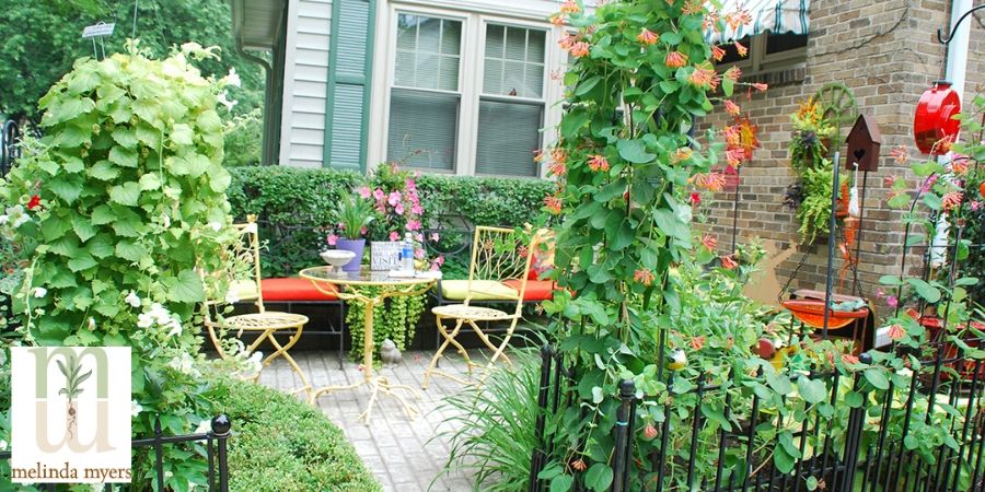 Small Backyard Flower Garden Ideas - Home Design Ideas