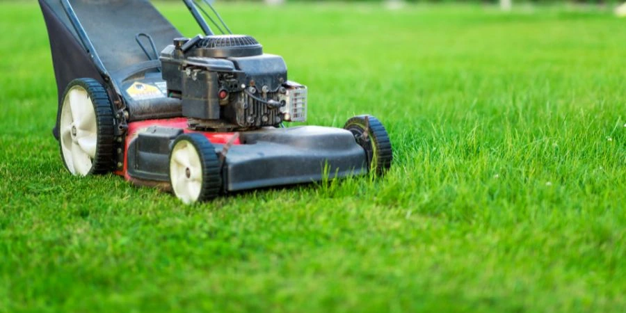lawn mower mowing lawn too short