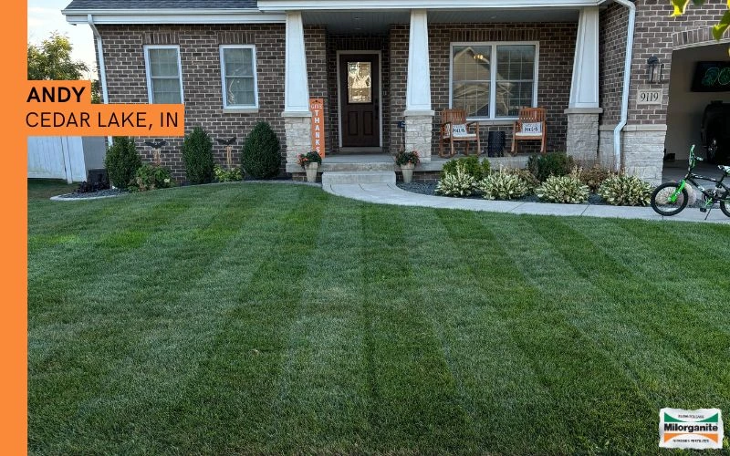 Front lawn fertilized with Milorganite for a healthy green look. 