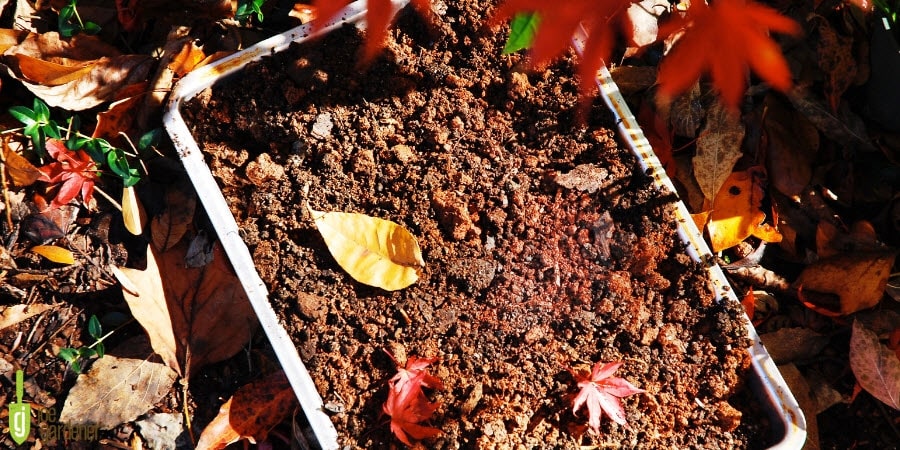 Soil with Leaves