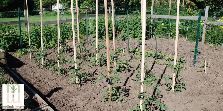 vertical planting of a garden