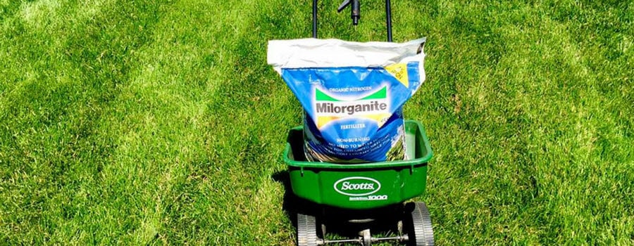 How To Get A Healthy Lawn Bag Of Milorganite In The Lawn With A Spreader