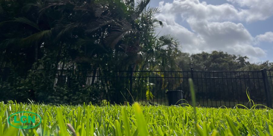 southern lawn with clouds