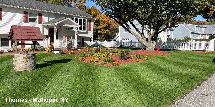 green lawn and landscape in front of house