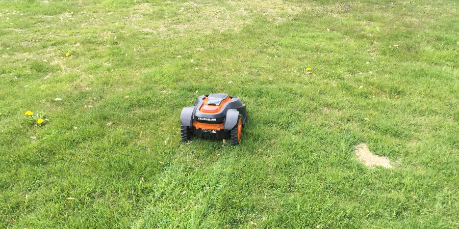 robot mower mowing lawn