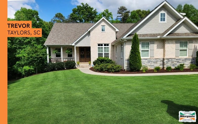 Lush green grass fertilized with Milorganite in SC..