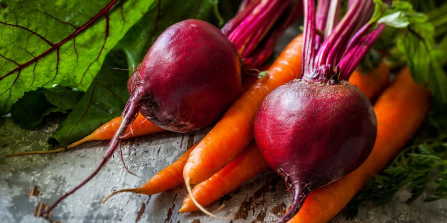 Beets and Carrots in the garden