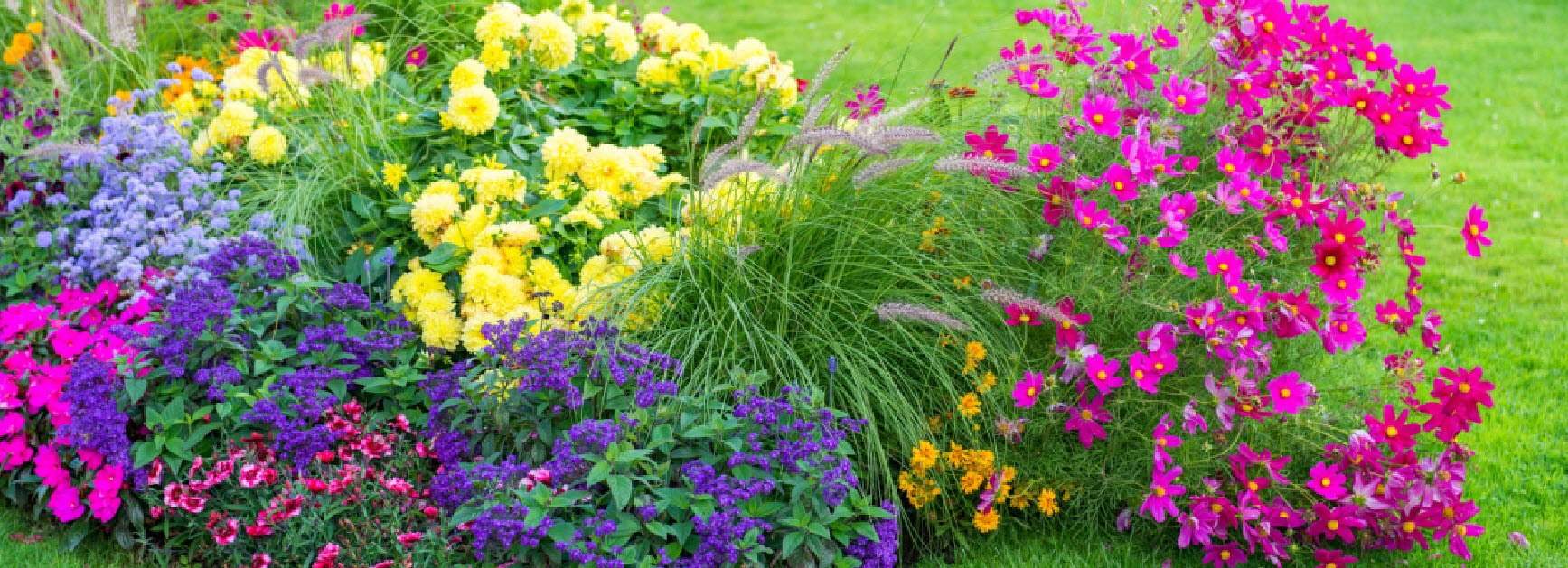 FlowerGarden555x201-min.jpg