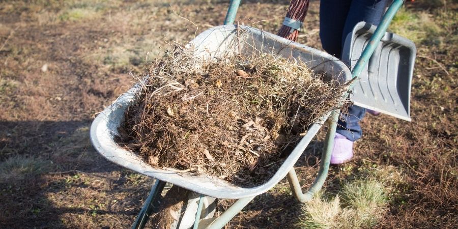 garden debris in wheelbarrow