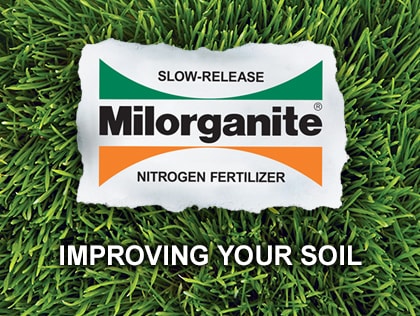 How to Improve Soil in Lawn or Garden