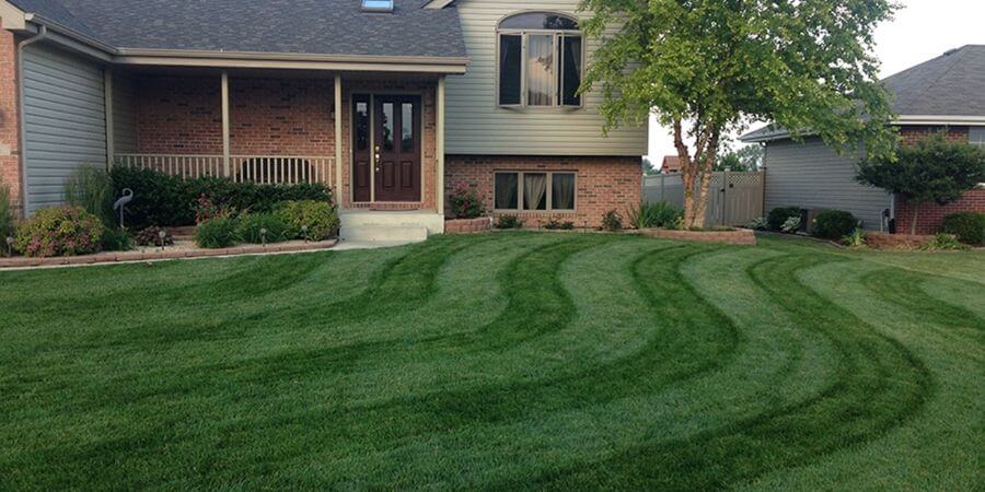 How to stripe lawn Allyn Hane house