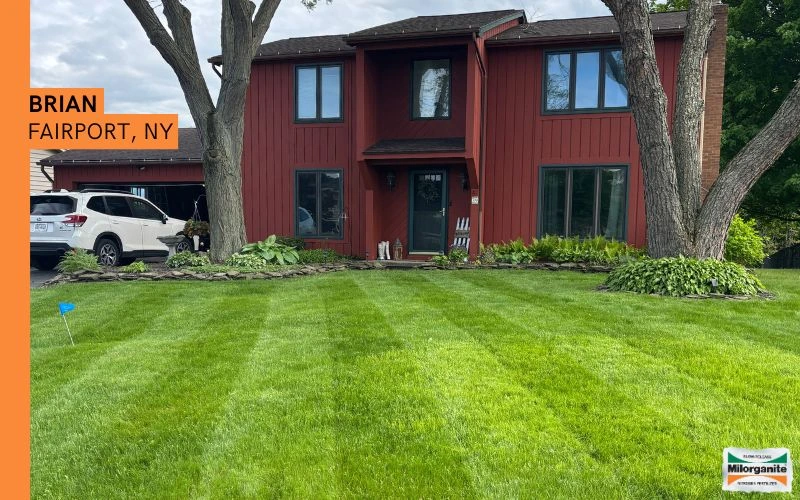 Lawn in New York fertilized with Milorganite, an organic fertilizer. 