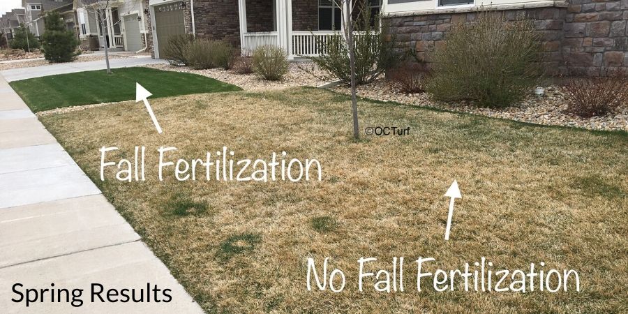 One lawn with fall fertilization and one without