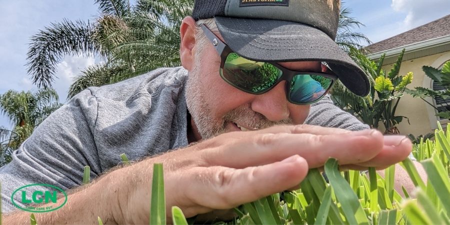 man laying on green grass feeling grass with hand