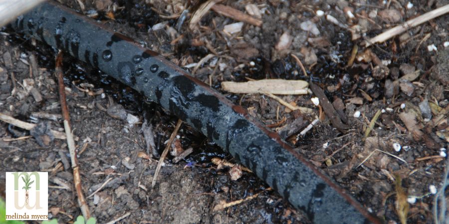 soaker hose over mulch