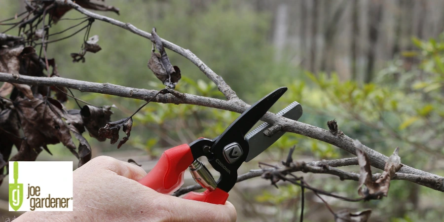 anvil pruner