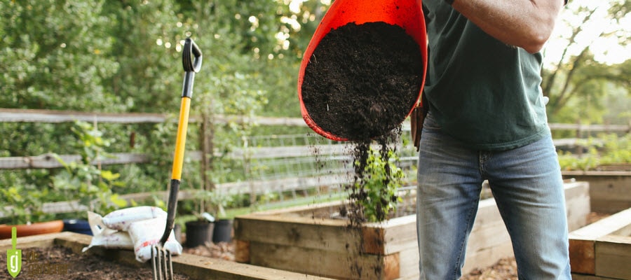 Adding compost to the garden